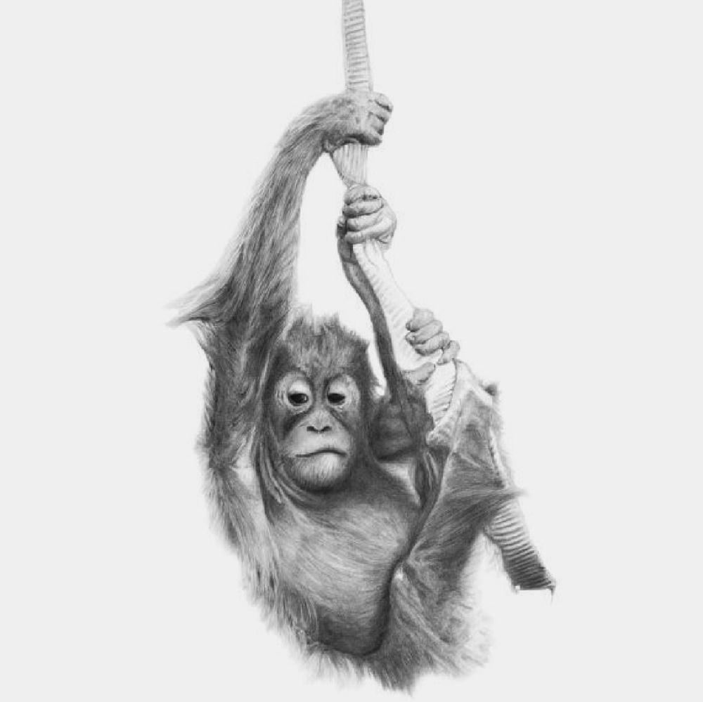 Meet your Posher, Jaimee